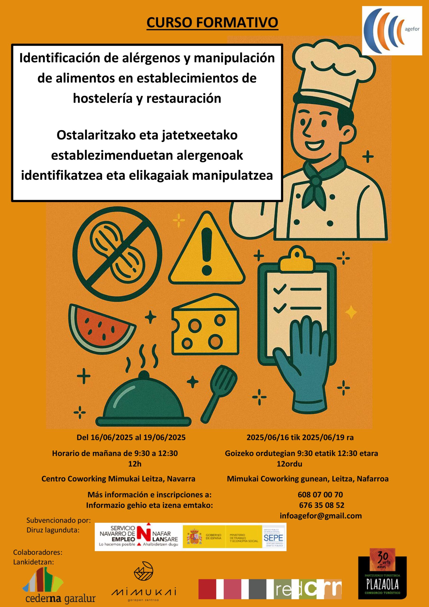 CARTEL CURSO IDENTIFICACIÓN DE ALERGENOS EUSK.CAST