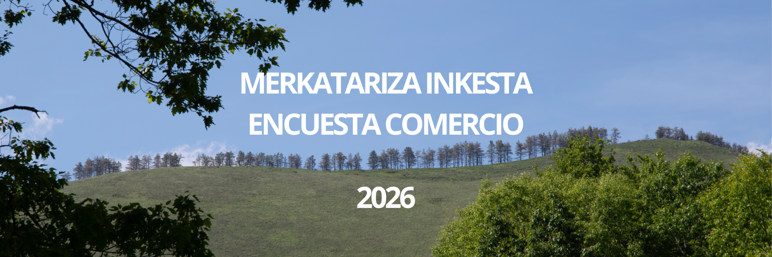 MERKATARIZA INKESTA ENCUESTA COMERCIO